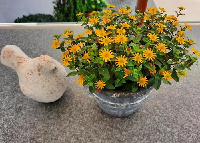 Kleines Bodensee 펜션 *